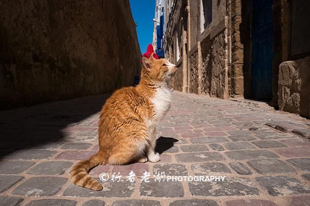斯卡拉是什么地方，斯卡拉是什么地方的车（大西洋的摩洛哥海滨之城）