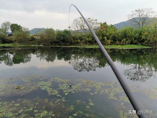 钓鱼李大毛哪里人，李大毛最近在哪里钓鱼（李大毛、化绍新笑而不语）