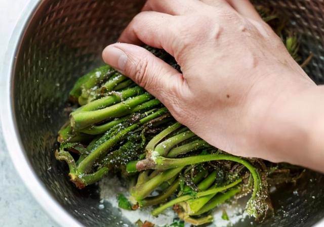 如何腌制香椿咸菜，如何腌制香椿咸菜视频（放1年照样好吃）