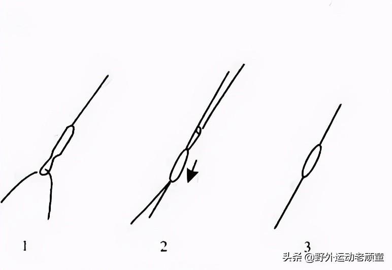 极豆（老钓翁聊台钓法野钓）