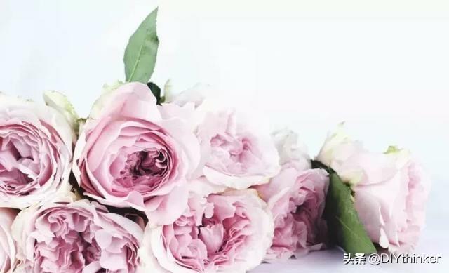 法语我爱你中文谐音，法语“我爱你”发音（用52种语言说“我爱你”）