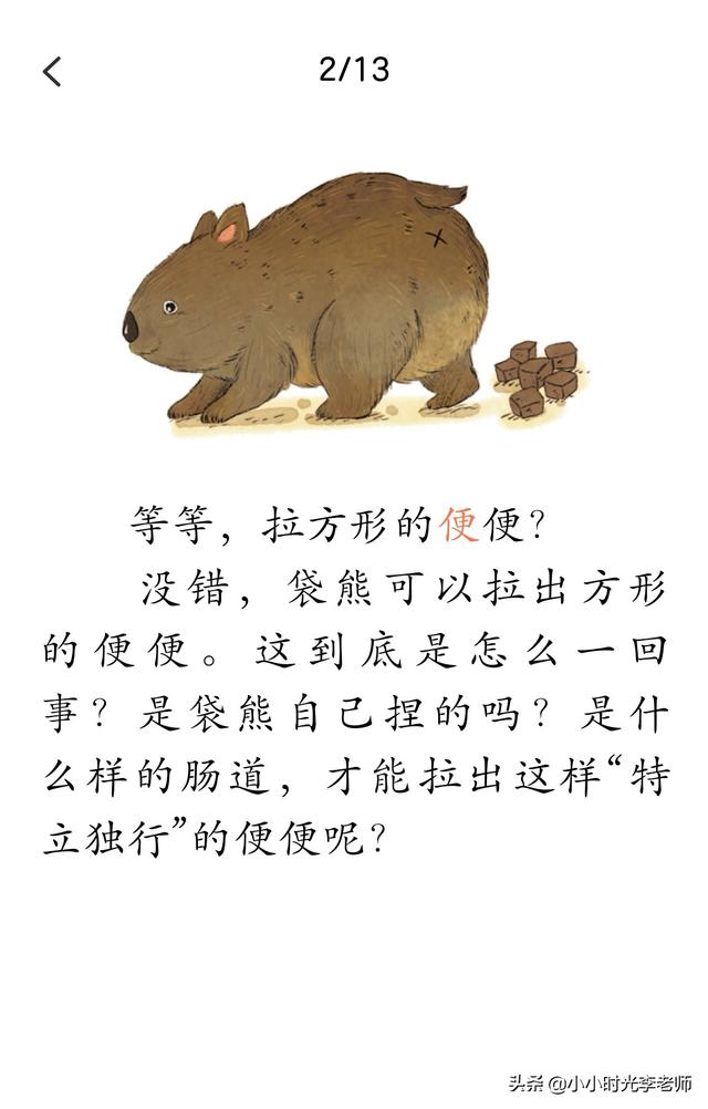 各种各样的动物，所有的常见动物名称（自然的故事-动物在说话《各式各样的便便》）