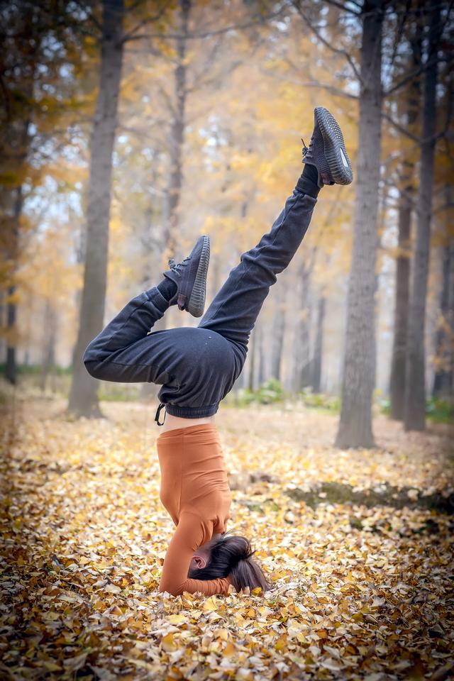 郯城银杏林在哪，郯城银杏林在哪个村（遇见2020年最后一抹秋色）