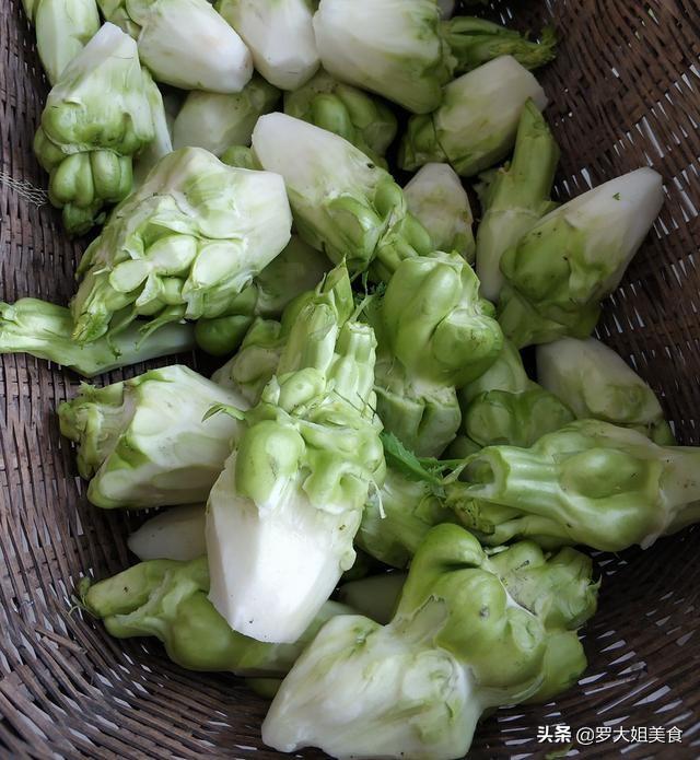 榨菜的腌制方法，重庆涪陵榨菜的腌制方法（那些咸菜就粥的记忆又回来了）