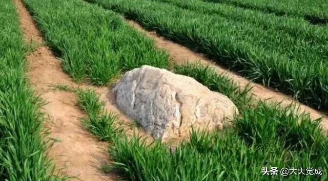 静山为什么是山，静山为什么是山知乎（为什么只有0.6米高）