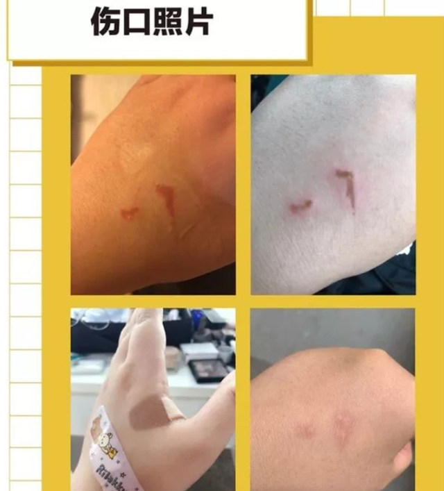 奇葩说第一季选手，奇葩说第一季选手名单（我发现学历和撕X力不一定成正比）
