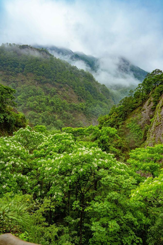 雁荡山旅游攻略推荐（请收好这篇，省心又省钱游玩攻略）