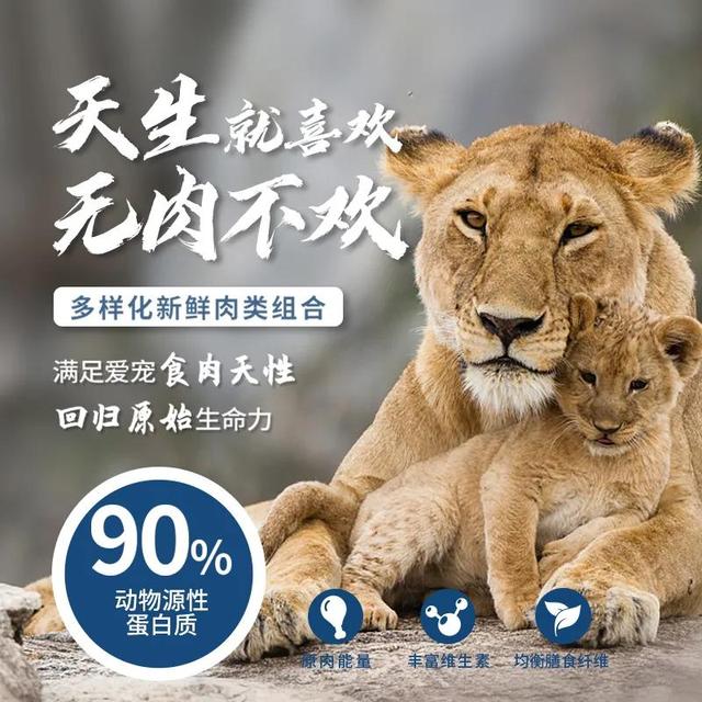 办狗证有什么用，狗狗办了狗证有什么用（狗狗或面临被“处死”风险）