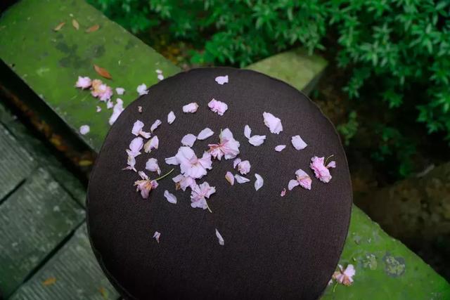 吃茶读闲书，听雨看落花。30首最美落花诗词，朵朵芬芳