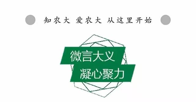 河北省会考成绩电子证明怎么开，河北会考成绩电脑版（河南农业大学上线电子成绩单）