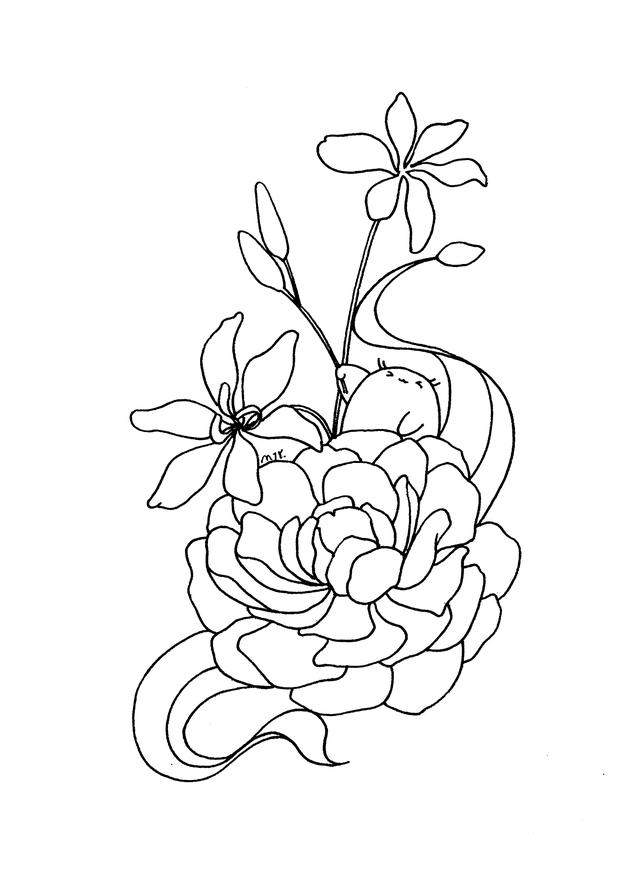 初学画画如何入门，画画入门初学技巧（好看的入门简笔画）