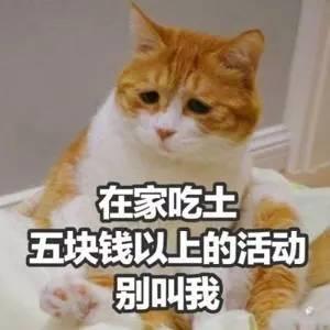 猫咪皮肤病有几种，几种猫咪常见的皮肤病