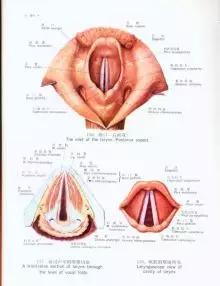 五音不全学一首最简单的歌,五音不全最容易学的歌(教你五音不全该如何学会唱歌) 五音不全学一首最简单的歌,五音不全最容易学的歌(教你五音不全该如何学会唱歌)