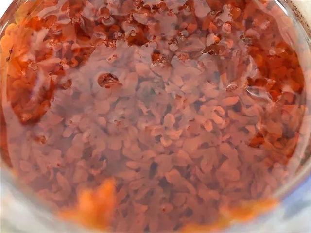 不锈钢盆可以放烤箱吗，烤箱里可以放不锈钢盆吗（10种花最养人）