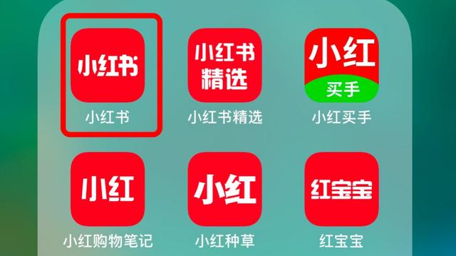 小红书是什么软件，小红书是什么（小红书下架59天）