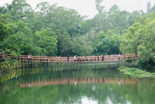 深圳石岩休闲会所（深圳十大免费特色的湖泊公园）