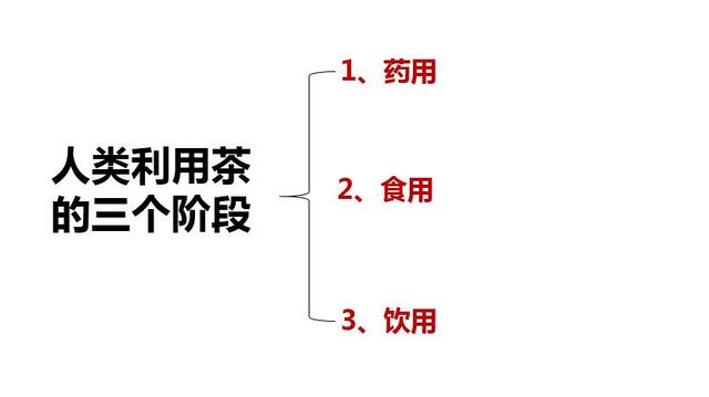 茶的起源，下午茶的起源（中国茶学入门知识——茶叶的起源与发展历程）