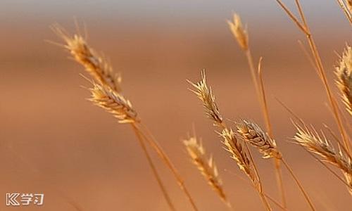 个人职业规划怎么写，个人职业规划及发展方向（2020个人职业生涯规划模板范文）