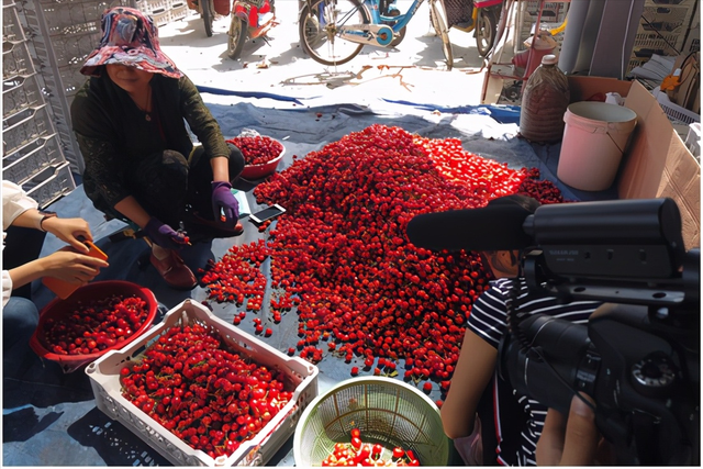 车厘子的寓意与象征，为什么总有人说“中国的樱桃是酸的