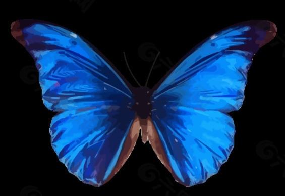 蝴蝶相关介绍，蝴蝶几条腿（世界上最美丽的八种蝴蝶）