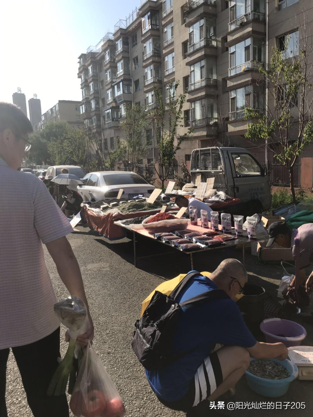 上北阳光灿烂的日子，阳光灿烂的日子里全集播放（屯粮积草开始了）