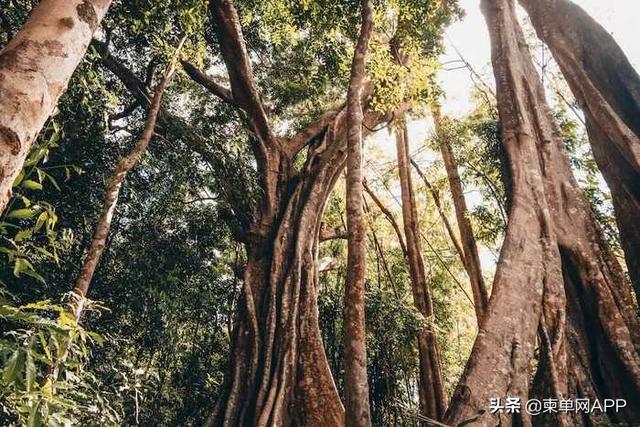 cambodia是哪个国家，cambodia是哪个国家货币2000（这是我的最新简历）