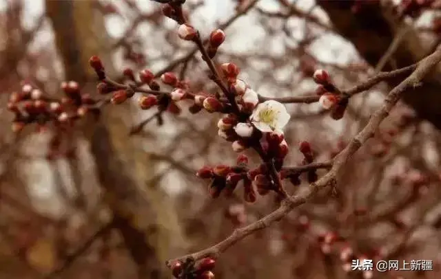 准噶尔盆地读音，准噶尔盆地怎么读音（新疆16个最容易读错的地名）