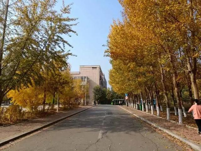 沈阳城市建设学院是几本，沈阳城市建设学院是几本大学（<十一>沈阳城市建设学院）
