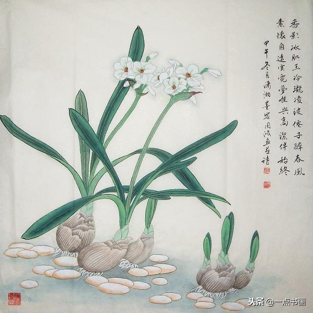 水仙花的寓意和象征，水仙花的寓意与象征（中国十大名花之冰波仙子——水仙）