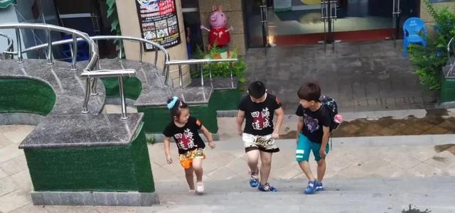 散打和自由搏击哪个更实用，自由搏击和散打哪个杀伤力大（搏击、武术、散打、跆拳道）