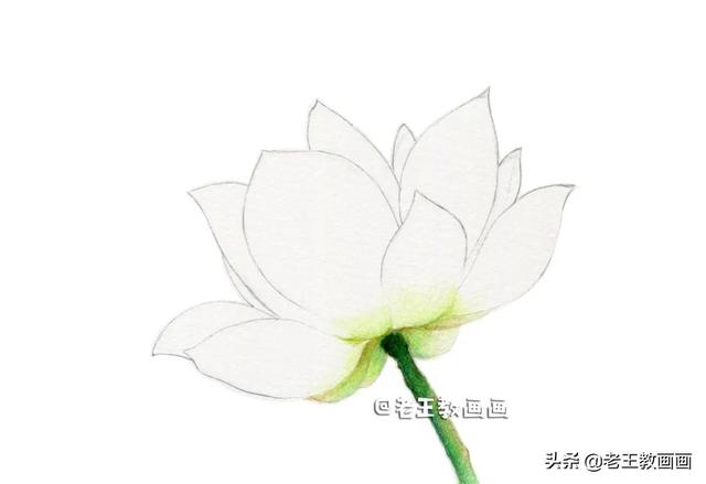 如何画荷花，如何画荷花国画（教你用彩铅画一朵荷花）