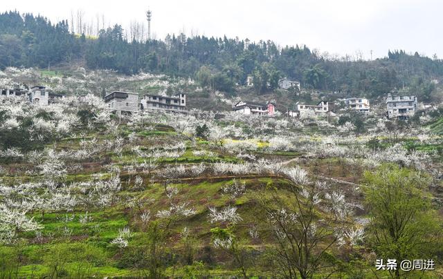 制香的原材料都有哪些，制香的原材料都有哪些种类（传统土法手工制香）