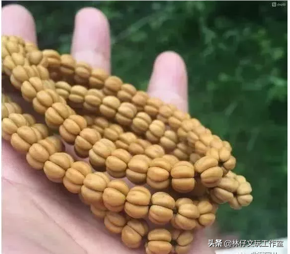 适合做手串的植物种子，适合做手串的植物种子是什么（这些路边捡的树籽儿串成手串）