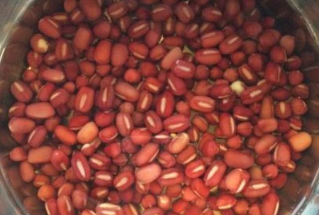 用高压锅快速熬稀饭，高压锅熬稀饭可以吗（煮红豆无需高压锅）