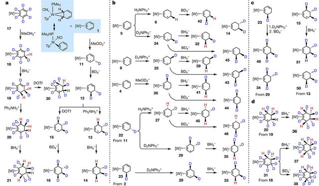 meoh是什么化学试剂，etoh是什么化学试剂（Nature：“钨”中生有）