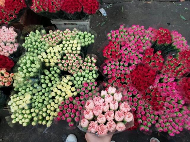 荷花最好看的品种是什么，这花最好看、最好养