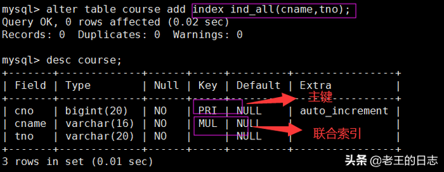 模特的模组词，模特的模组什么词（MySQL06--）