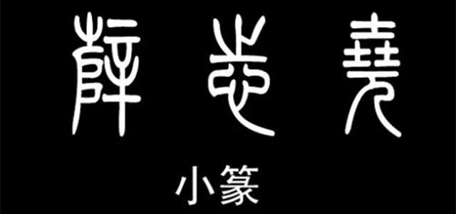 大篆和小篆的区别，小篆与大篆的区别图片（了解大篆和小篆的区别）