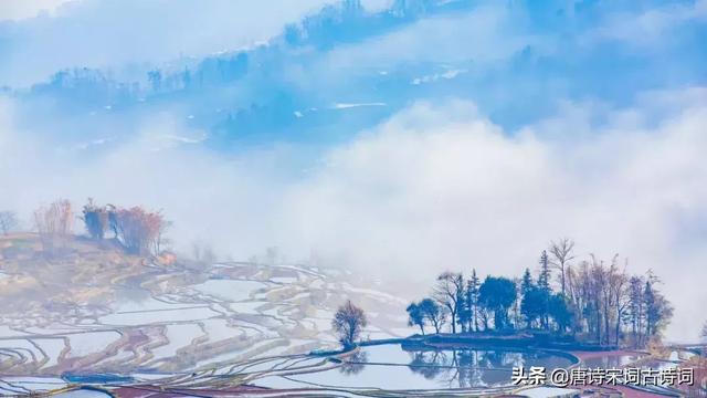 今日逢君不识君下句，今日逢君君不识下一句（诗词丨最是时光留不住）