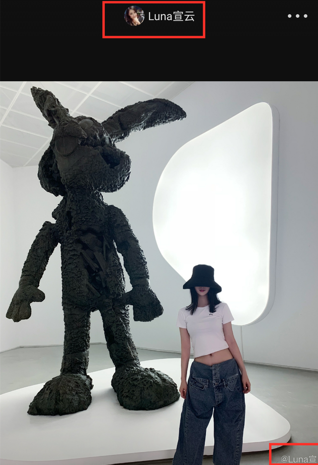 潘玮柏老婆是谁，潘玮柏的老婆（潘玮柏结婚扯出“天王嫂培训班”）