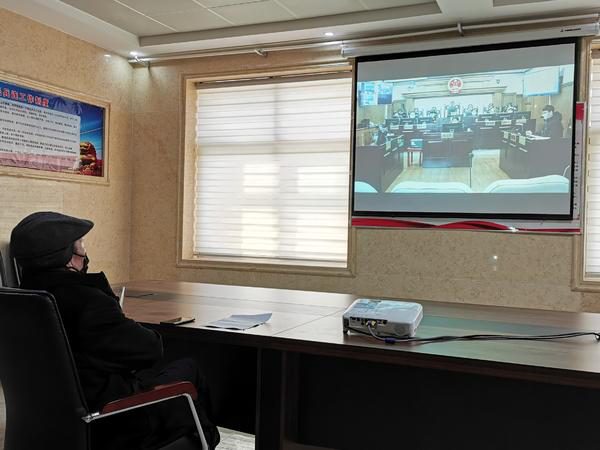 斑鸠是保护动物吗，斑鸠是几级保护动物（抓27只斑鸠，判拘4个月）