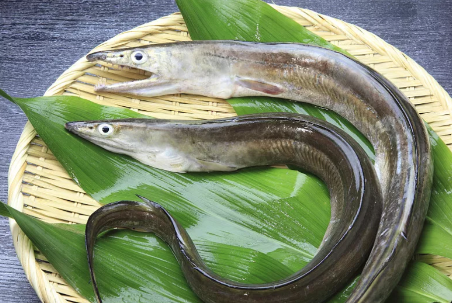 泥鳅怎么吃最有营养，泥鳅怎么吃最有营养价值（一遇天热就自汗、盗汗多）