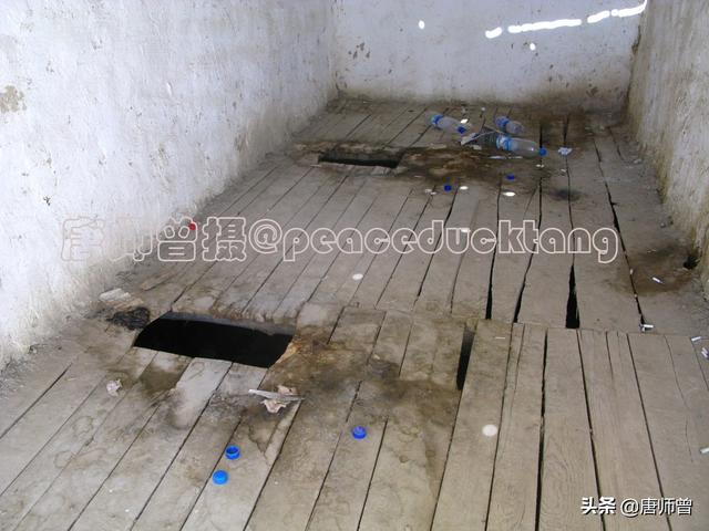 蛆长大了变成什么，20201204唐师曾