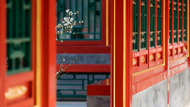 朵颐是指哪个部位，朵颐是什么意思（10个仙女般的女孩名字）