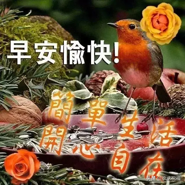 珍惜缘分的经典语句，珍惜缘分的唯美句子（用一颗纯粹的心）