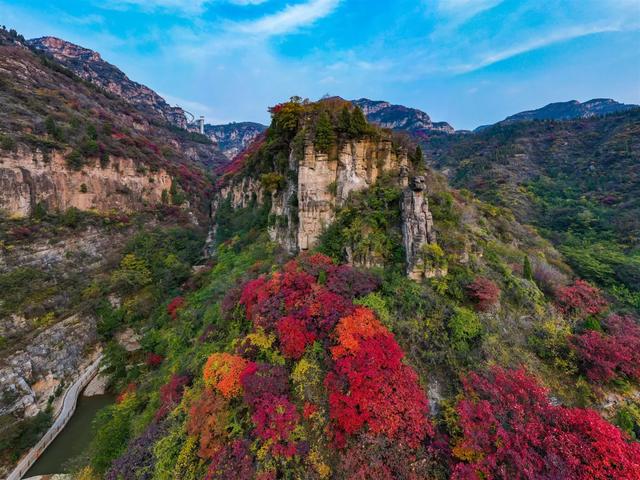 满山红叶似彩霞，阿宝歌曲大全（山东最全赏红叶地图来了）