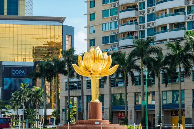 澳门的市花是什么，澳门的市花是什么名字（二十一届澳门荷花节体验这个莲花宝地）