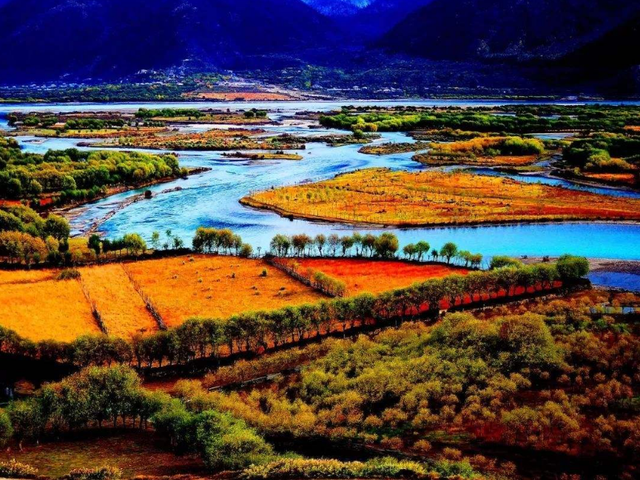 赞美秋天的诗句，赞美秋天景色的古诗（十首最美的秋日诗词）