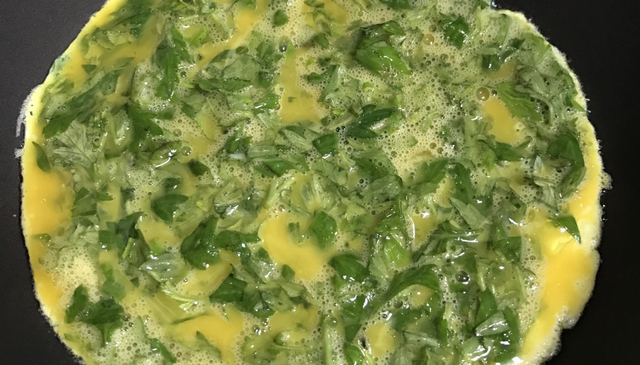 新鲜野艾蒿怎么吃，野菜艾蒿能不能吃（艾草6种最好吃的做法）