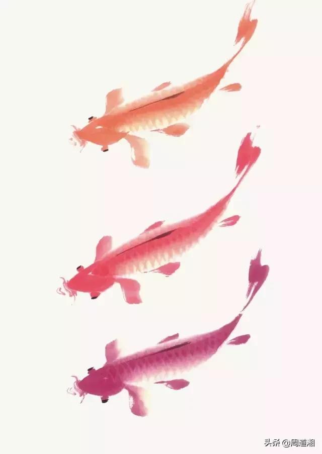 金鱼画法步骤图解,国画写意鲤鱼、金鱼的画法 金鱼画法步骤图解,国画写意鲤鱼、金鱼的画法